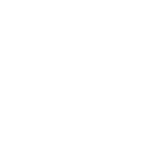 The Search for Solutions